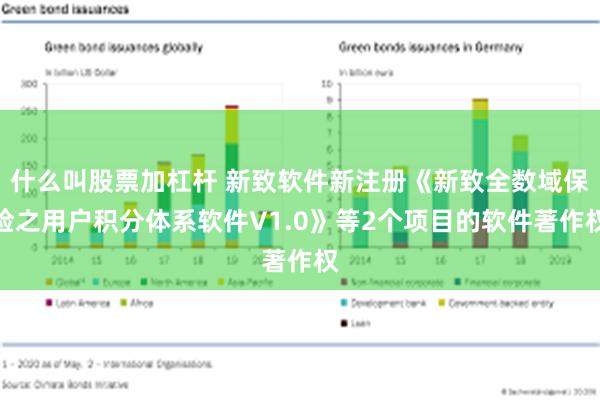 什么叫股票加杠杆 新致软件新注册《新致全数域保险之用户积分体系软件V1.0》等2个项目的软件著作权