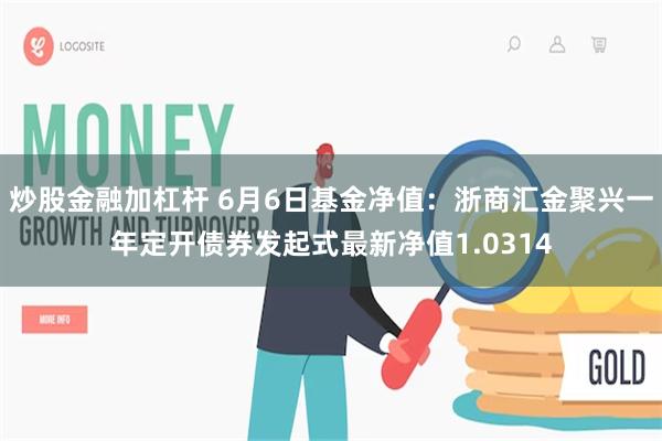 炒股金融加杠杆 6月6日基金净值：浙商汇金聚兴一年定开债券发起式最新净值1.0314