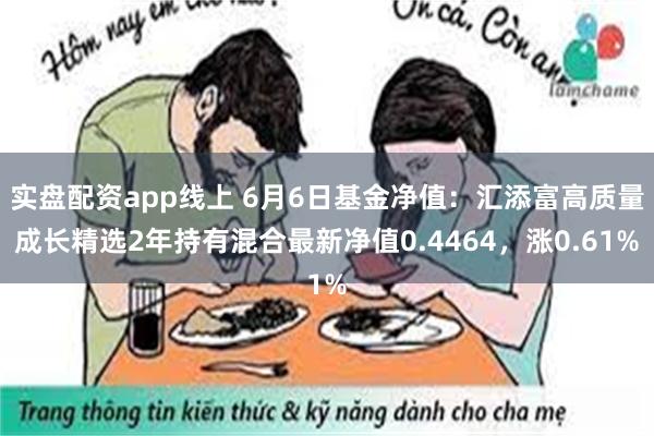 实盘配资app线上 6月6日基金净值：汇添富高质量成长精选2年持有混合最新净值0.4464，涨0.61%