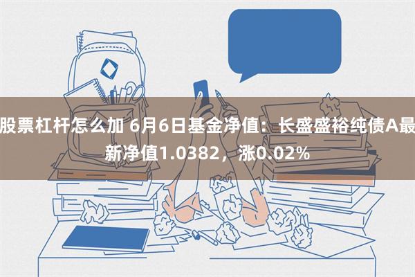 股票杠杆怎么加 6月6日基金净值：长盛盛裕纯债A最新净值1.0382，涨0.02%