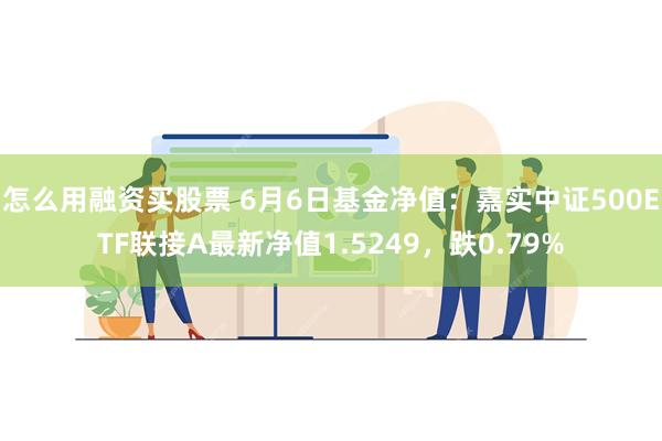 怎么用融资买股票 6月6日基金净值：嘉实中证500ETF联接A最新净值1.5249，跌0.79%