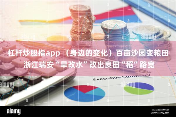 杠杆炒股指app （身边的变化）百亩沙园变粮田 浙江瑞安“旱改水”改出良田“稻”路宽