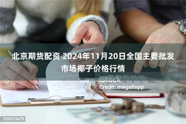 北京期货配资 2024年11月20日全国主要批发市场椰子价格行情