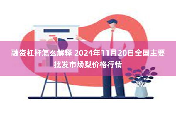 融资杠杆怎么解释 2024年11月20日全国主要批发市场梨价格行情