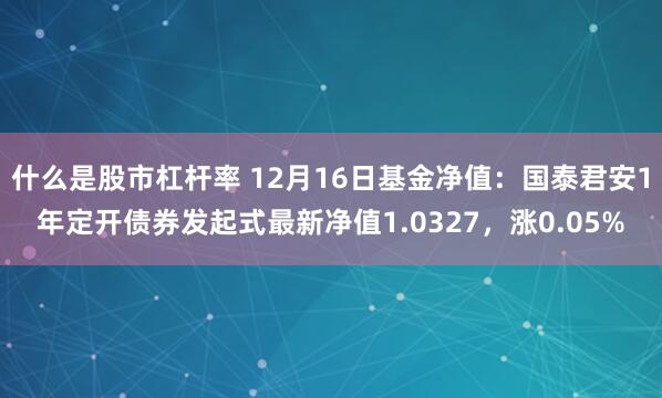 什么是股市杠杆率 12月16日基金净值：国泰君安1年定开债券发起式最新净值1.0327，涨0.05%